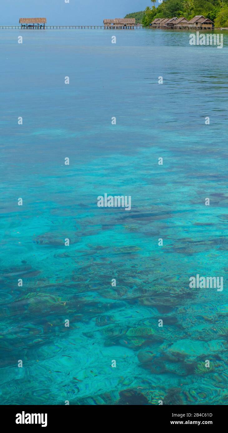 Bucht mit Unterwasserkorallen vor der Tauchstation und den Pensionen auf der Insel Kri, Raja Ampat, Indonesien, Westpapua. Stockfoto