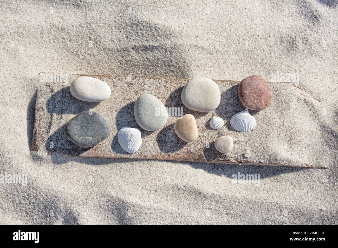 Kieselsammlung auf einem Stück Treibholz im Sand an einem sonnigen Tag Stockfoto