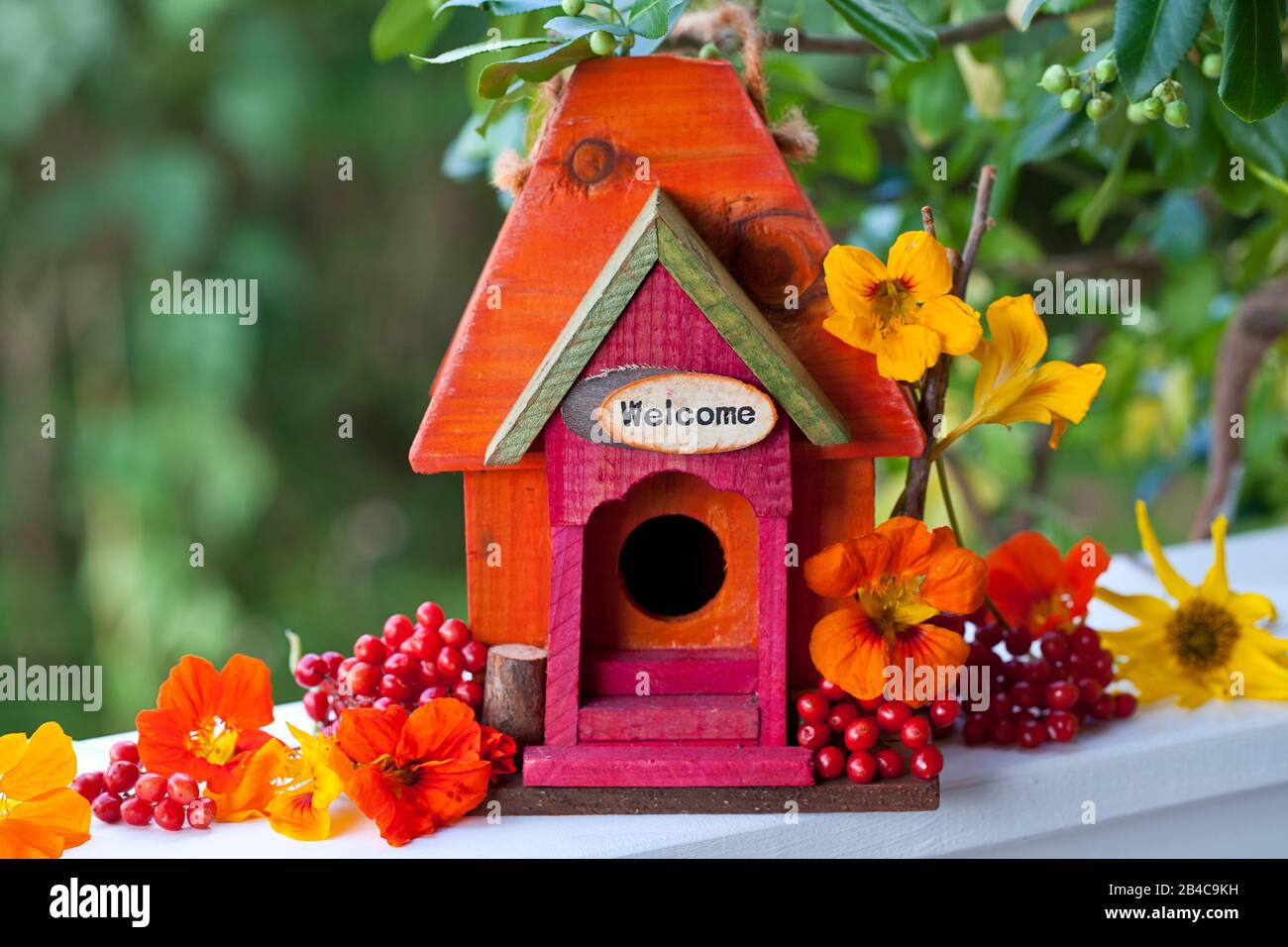 Willkommenes vogelhaus -Fotos und -Bildmaterial in hoher Auflösung – Alamy