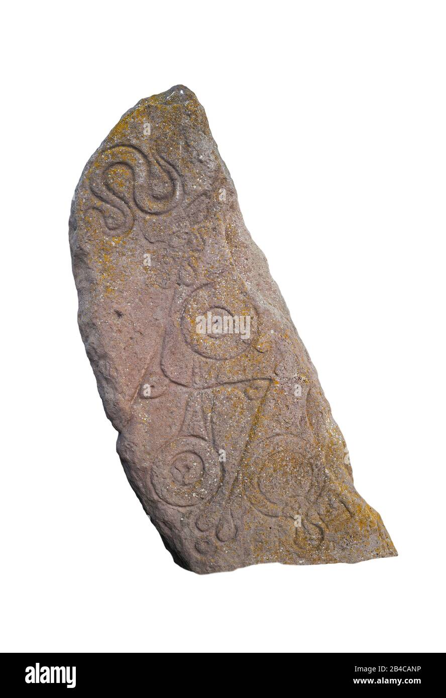 Der Serpent Stone hat Pictish-Stein in Aberlemno, Schottland, Großbritannien vor weißem Hintergrund gehauen Stockfoto