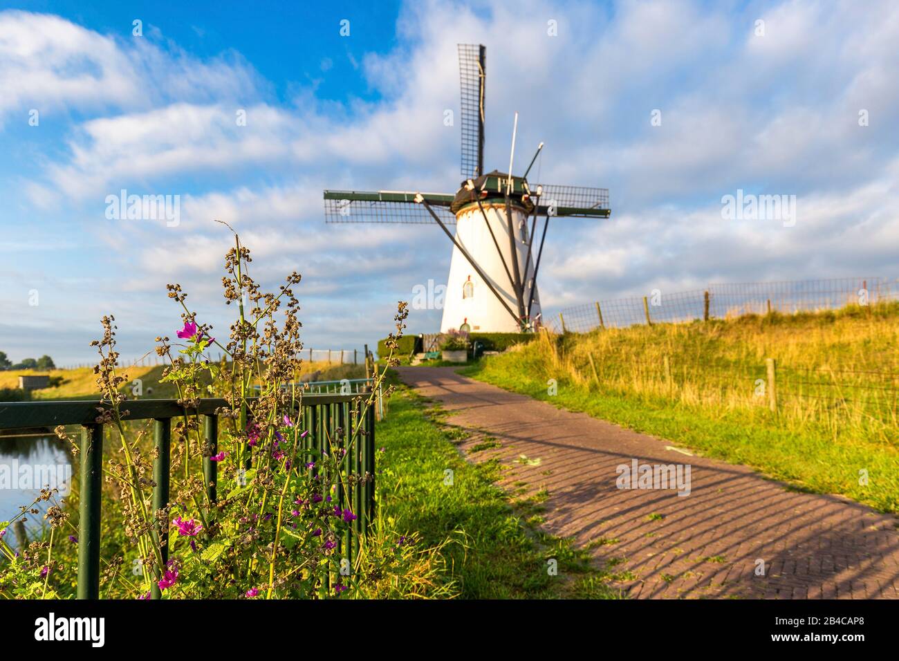 Eine Windmühle in der Nähe der niederländischen Dorf Middelburg und Nieuw-en Sint Joosland auf ein Feld. Stockfoto