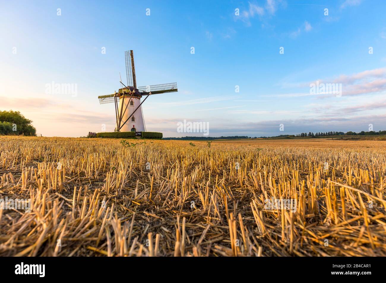 Eine Windmühle in der Nähe der niederländischen Dorf Middelburg und Nieuw-en Sint Joosland auf ein Feld. Stockfoto