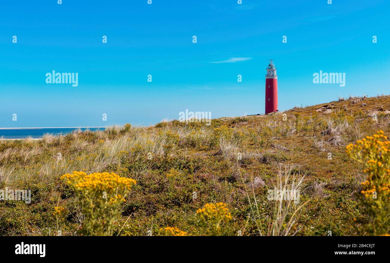 Der Leuchtturm Eierland auf der Nordspitze der Insel Texel, Er wurde 1864 erbaut und ist fast 35 Meter hoch. Stockfoto