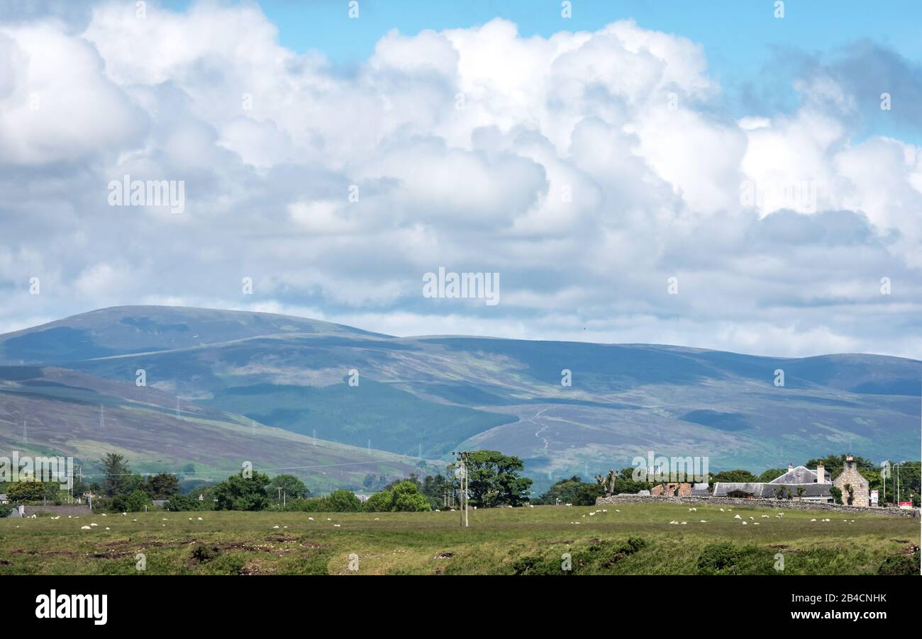 Von den schottischen Highlands unterstützte Ackerlandebenen. Ein ruhiger, ländlicher Blick auf den Nordosten des schottischen Distrikts Sutherland an einem hellen Sommertag. Stockfoto