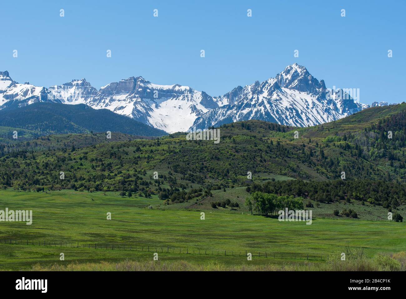 Landschaft mit grüner Wiese und Hanglage mit der Sneffels Mountain Range im Hintergrund in der Nähe von Ridgway und Telluride in Colorado Stockfoto