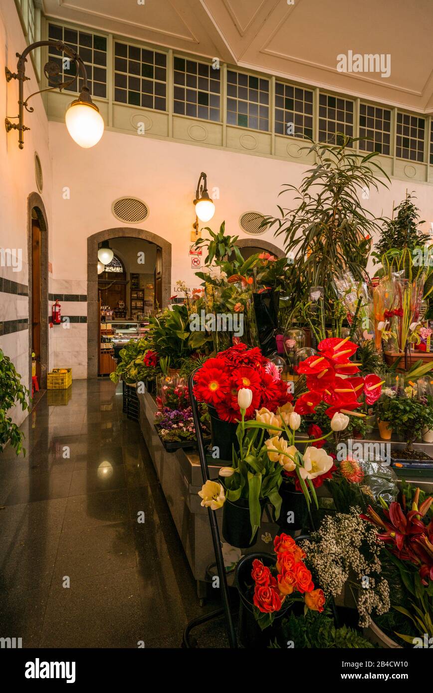 Spanien, Kanarische Inseln, La Palma, Santa Cruz de la Palma, Mercado La Recova, Lebensmittelmarkt, Innenraum, NR Stockfoto