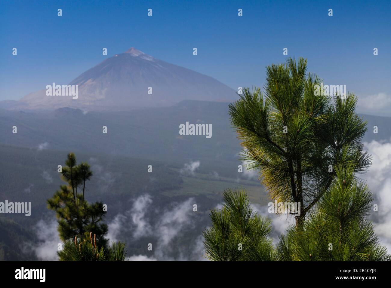 Spanien, Kanarische Inseln, Teneriffa, El Teide, erhöhten Blick auf den höchsten Berg Spaniens Stockfoto