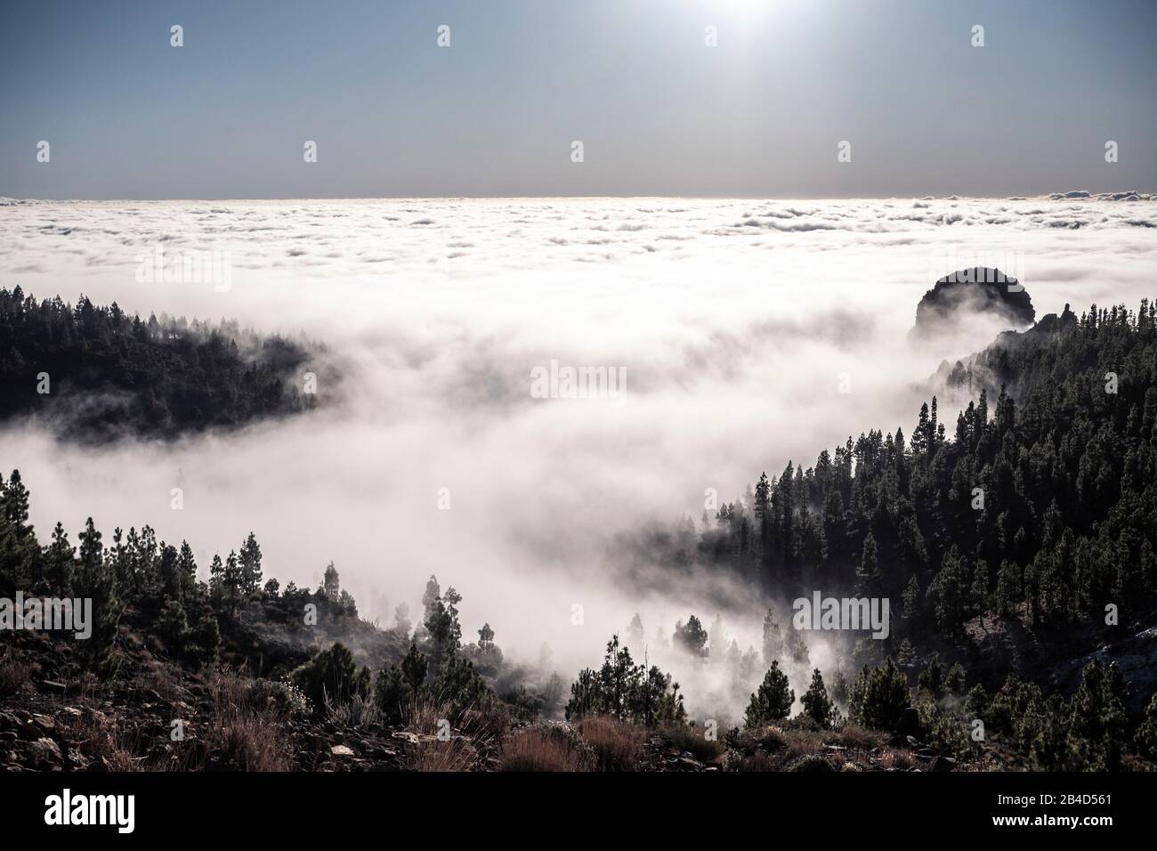 Landschaftlich schöne Naturlandschaft mit Bergwald und Wolken - Horizontlinie und Himmel über den Bäumen und Wolken - Abenteuer- und Trekkkingkonzept für alternative Reiseerlebnisse Stockfoto