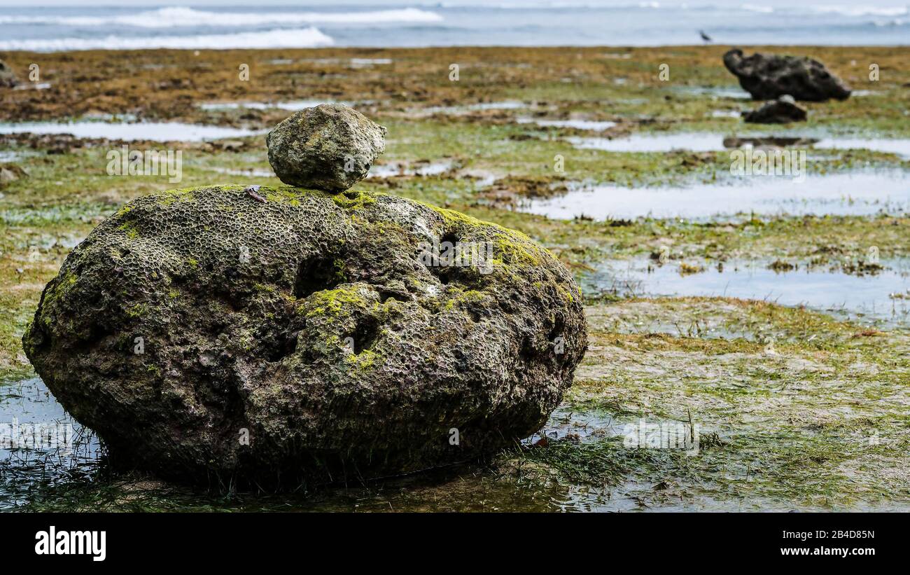 Zen-ähnliche Steine Mit Moos am Strand bei Low Tide, Nice Water Reflection, Nusa Dua, Bali, Indonesien. Stockfoto