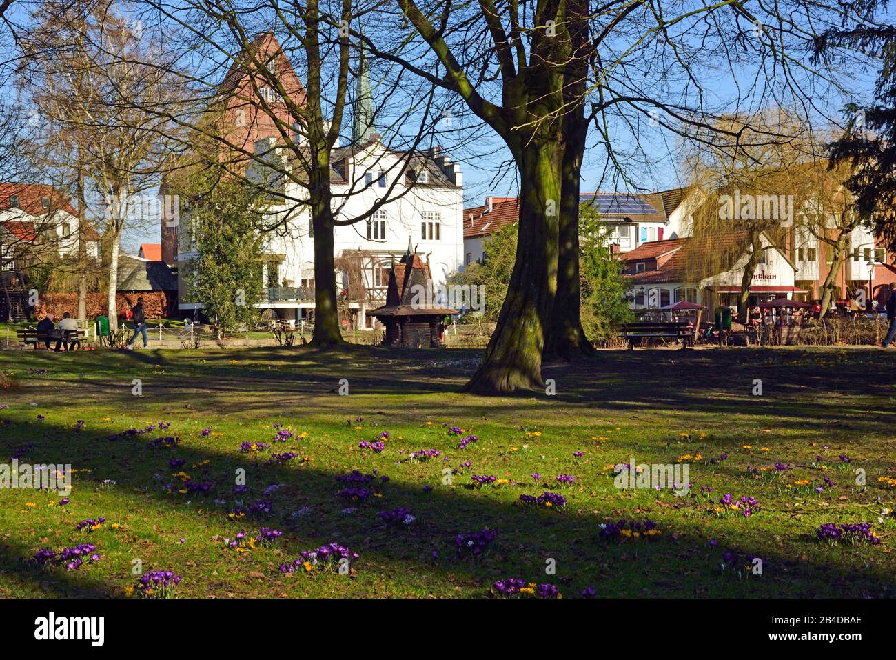 Blumenwiese und teich Fotos und Bildmaterial in hoher Auflösung Alamy