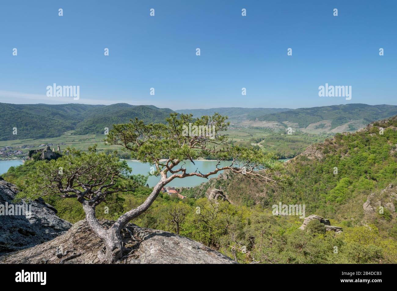 Dürnstein, Wachau, Waldviertel, Krems, Oberösterreich, Österreich, Europa. Stockfoto