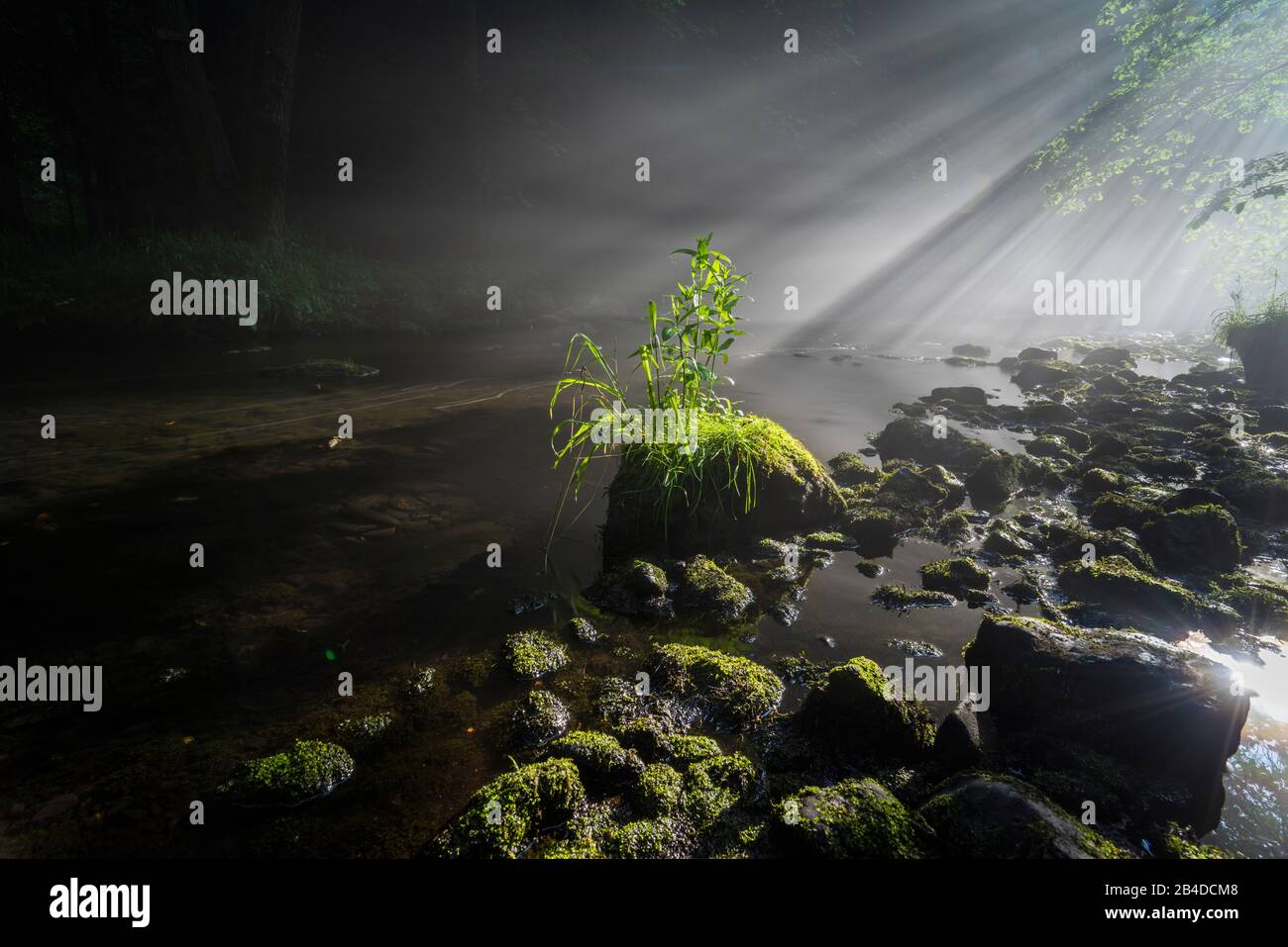 Sonnenauf- und Nebelfäden über dem Wasser eines Flusses Stockfoto