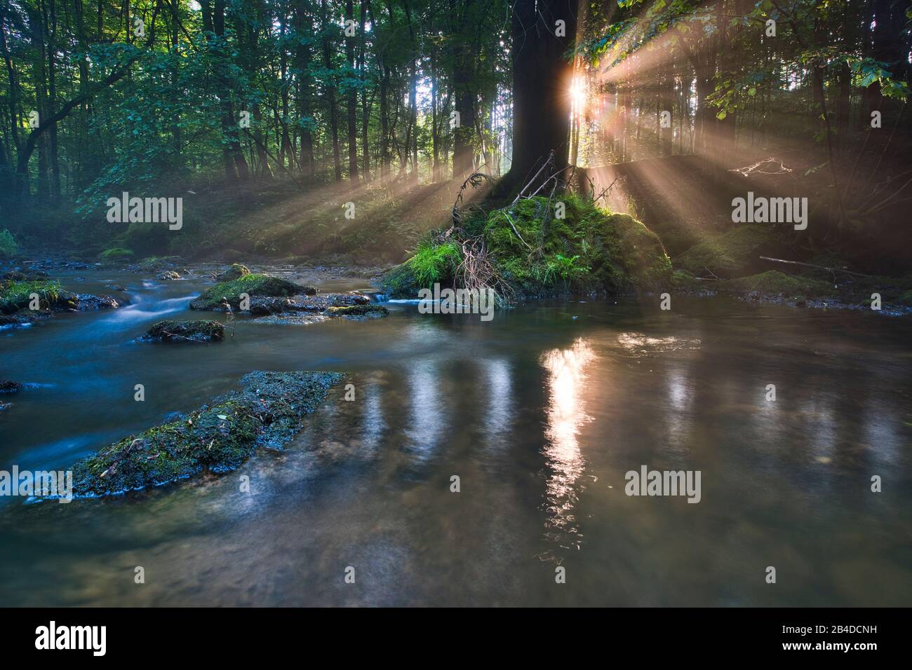 Sonnenauf- und Nebelfäden über dem Wasser eines Flusses Stockfoto