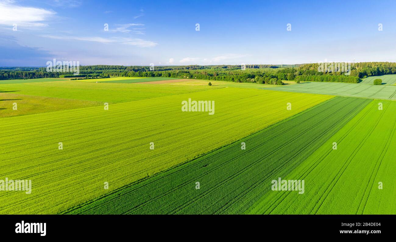 Grüne Felder von oben, Landwirtschaft, Bayern, Deutschland, Europa Stockfoto