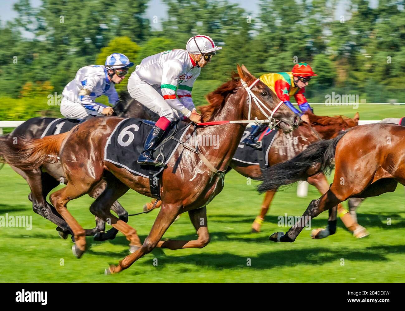 Pferderennen auf der Rennbahn in München Daglfing, Oberbayern, Bayern, Deutschland, Europa Stockfoto