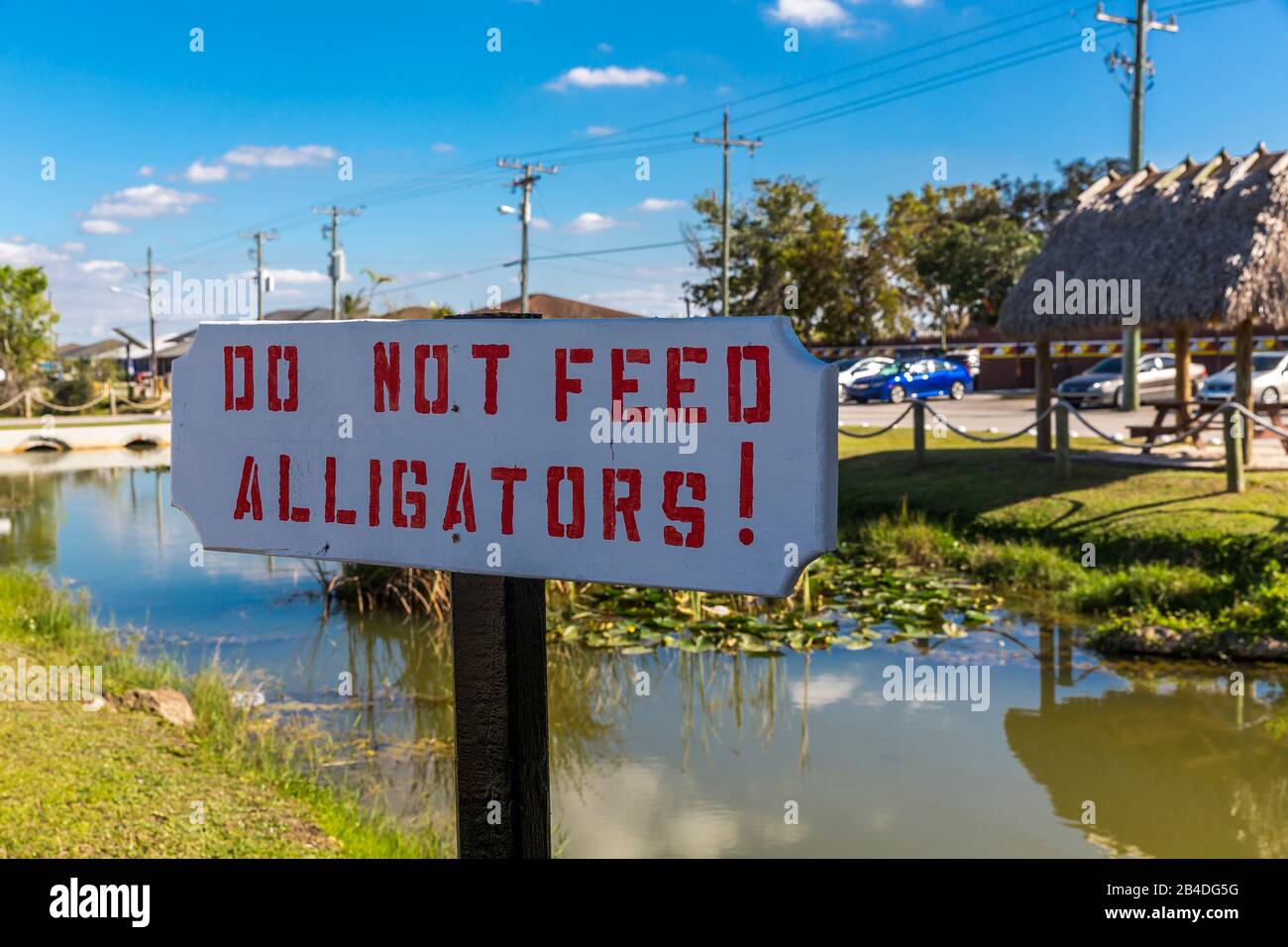 Schild, Nicht Füttern Alligatoren, Nicht Füttern, Miccosukee, Indian Village, Everglades National Park, Florida, USA, Nordamerika Stockfoto