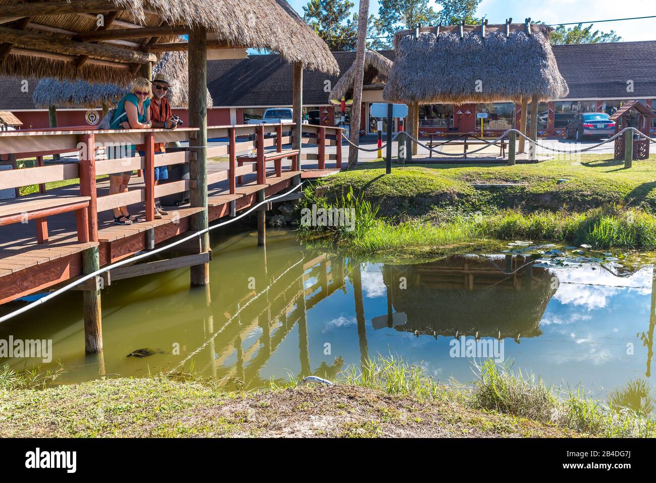 Miccosukee, Indian Village, Everglades National Park, Florida, USA, Nordamerika Stockfoto