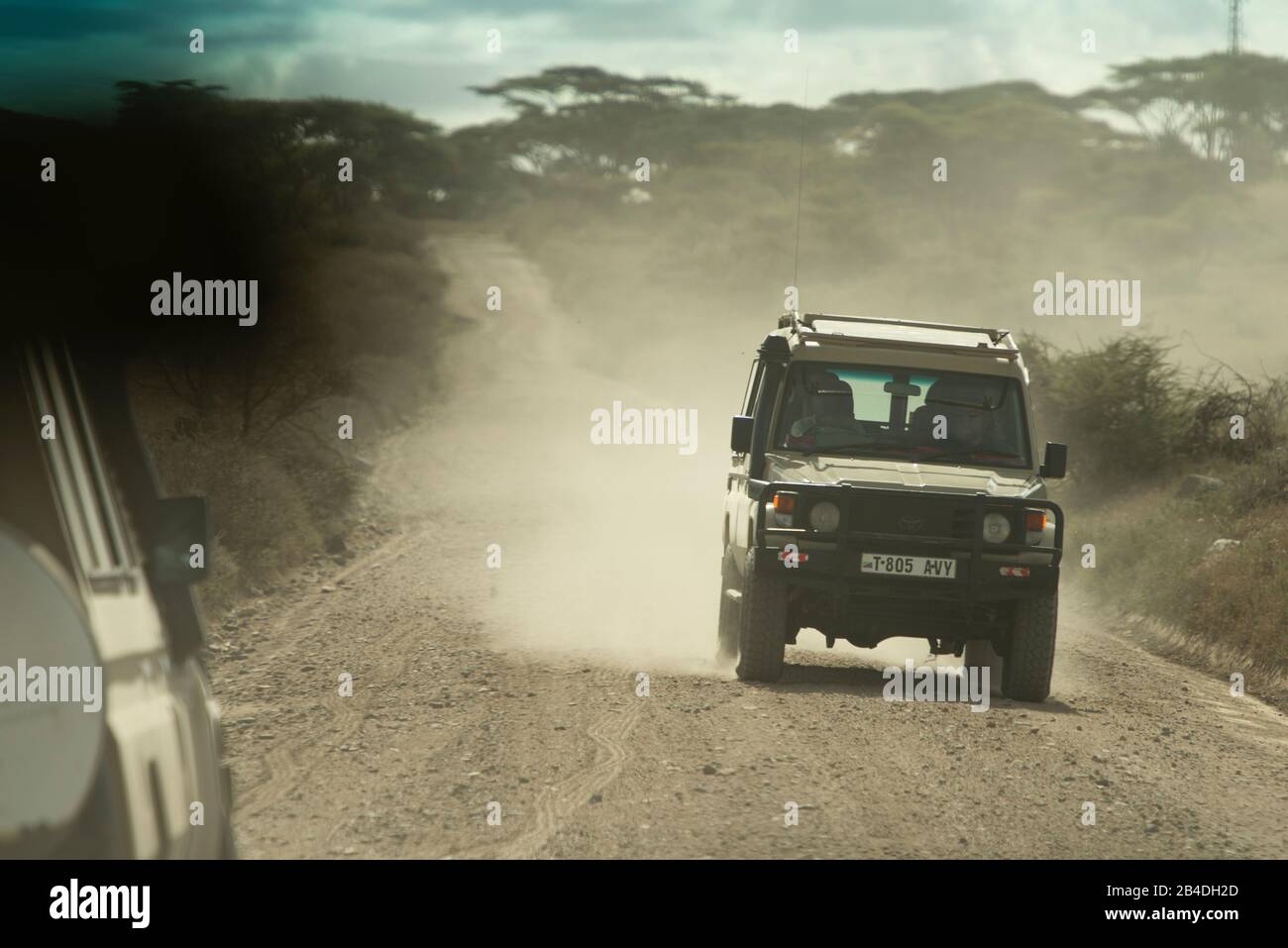 Tansania, Nordtansania, Serengeti-Nationalpark, Ngorongoro-Krater, Tarangire, Arusha und Lake Manyara, Jeeps auf einer staubigen Straße Stockfoto