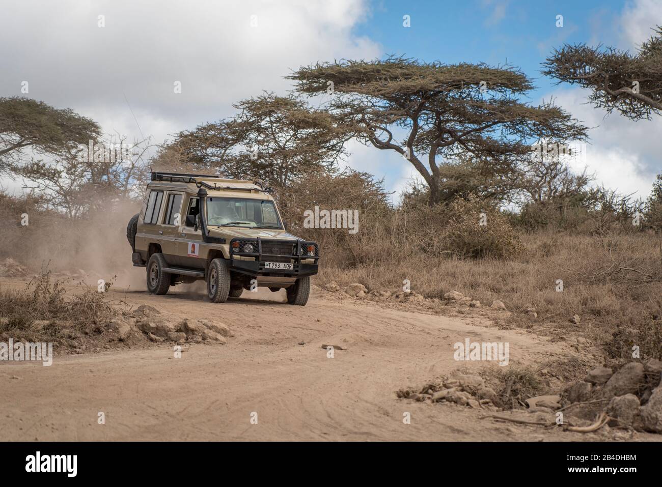 Tansania, Nordtansania, Serengeti-Nationalpark, Ngorongoro-Krater, Tarangire, Arusha und Lake Manyara, Jeep auf einer staubigen Straße Stockfoto