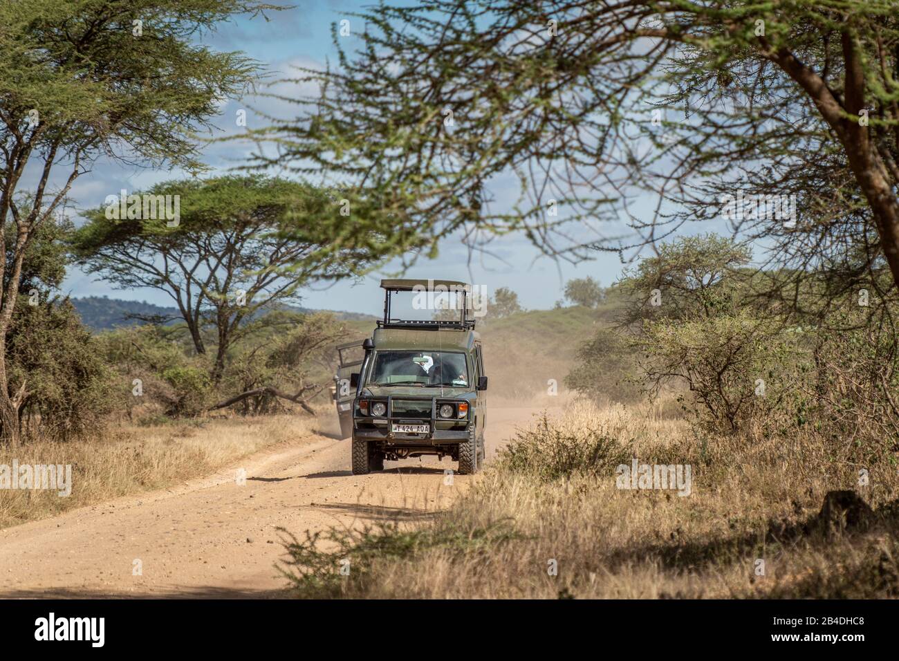 Tansania, Nordtansania, Serengeti-Nationalpark, Ngorongoro-Krater, Tarangire, Arusha und Lake Manyara, Jeeps auf einer staubigen Straße Stockfoto