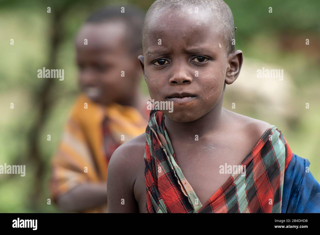 Tansania, Nordtansania am Ende der Regenzeit im Mai, Serengeti-Nationalpark, Ngorongoro-Krater, Tarangire, Arusha und Lake Manyara, Maasai-Kinder Stockfoto