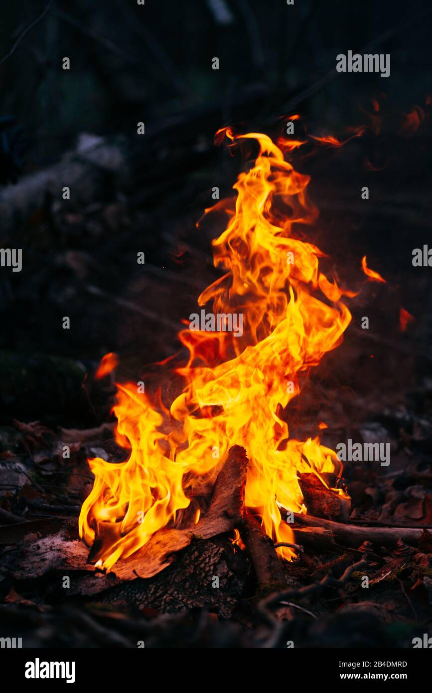 Brennendes Holz am Abend im Wald. Lagerfeuer im touristischen Camp in der Natur. Grillen und Kochen im Freien frische Luft. Flamme und Feuer Funken im Dunkeln Stockfoto
