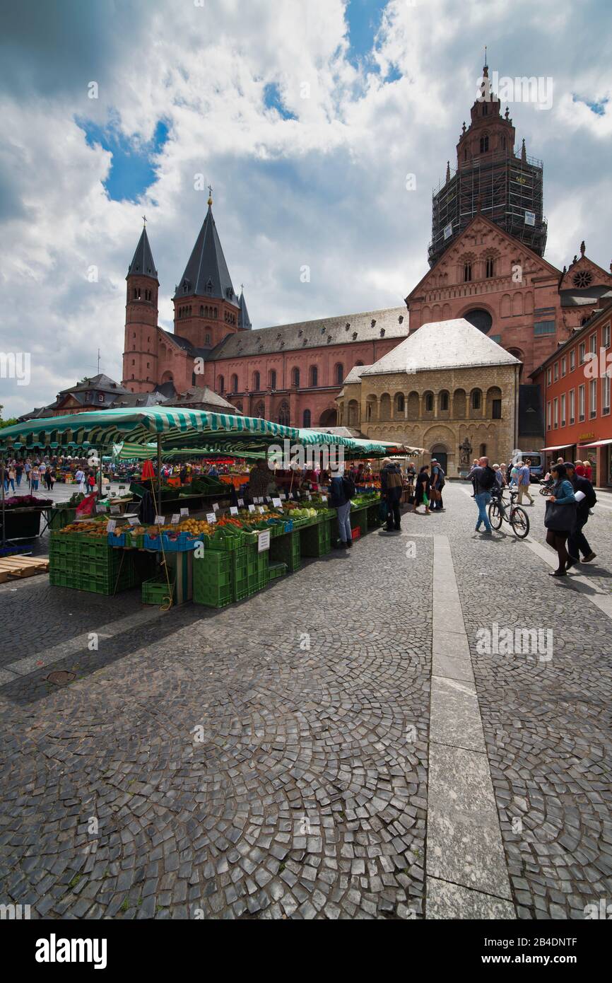 Marktstände auf dem Marktplatz, dahinter Der hohe Dom Sankt Martin zu Mainz, Rheinland-Pfalz, Deutschland Stockfoto