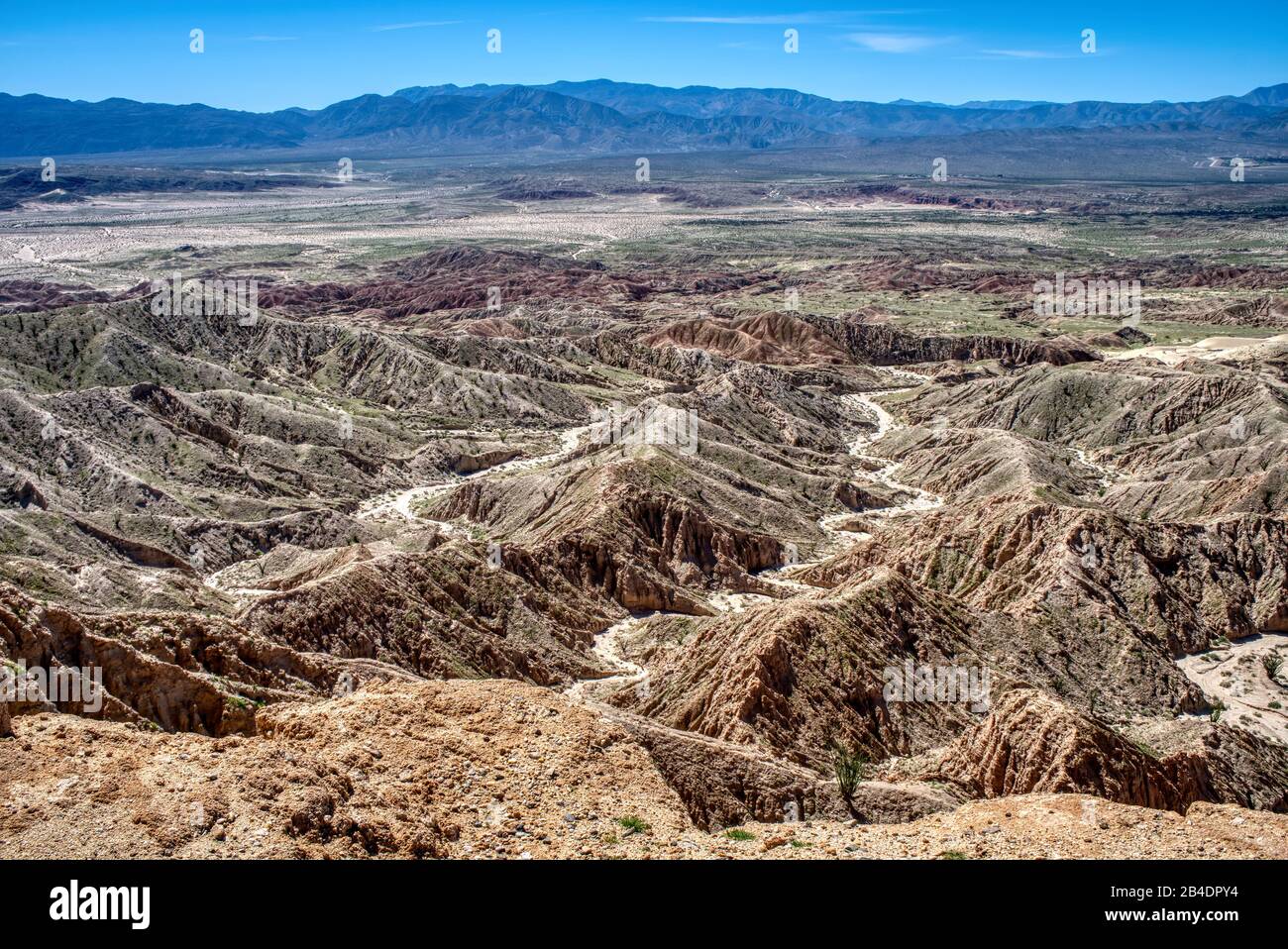 Anza-Borrego Desert State Park ist ein California State Park, der sich innerhalb der Colorado-Wüste im Süden Kaliforniens befindet. Mit 600.000 Acre, die umfasst Stockfoto