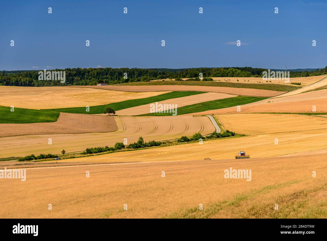 Deutschland, Bayern, Unterfranken, Fränkisches Saaletal, Hammelburg, Blick über das Gantal Stockfoto