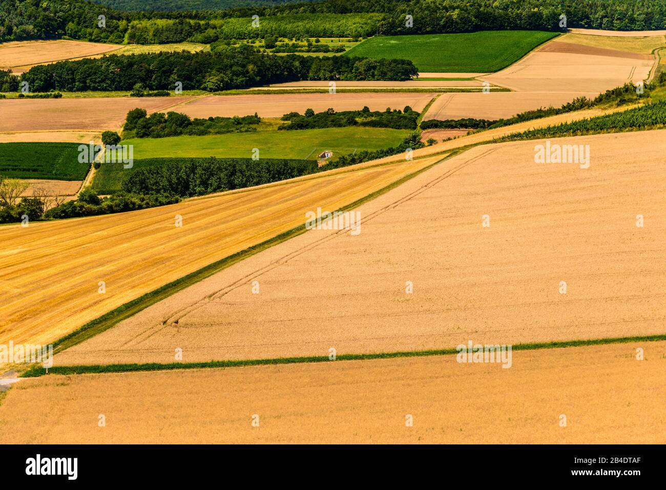 Deutschland, Bayern, Unterfranken, Fränkisches Saaletal, Hammelburg, Blick über das Gantal Stockfoto