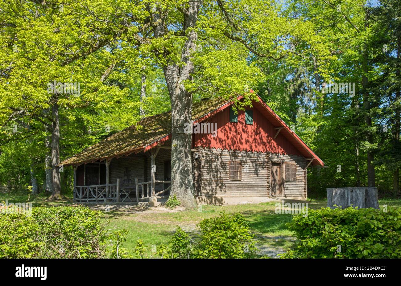 Deutschland, Baden-Württemberg, Tübingen - Bebenhausen, Königliches Jagdschloss im Schönbuch an der Steingart Stockfoto