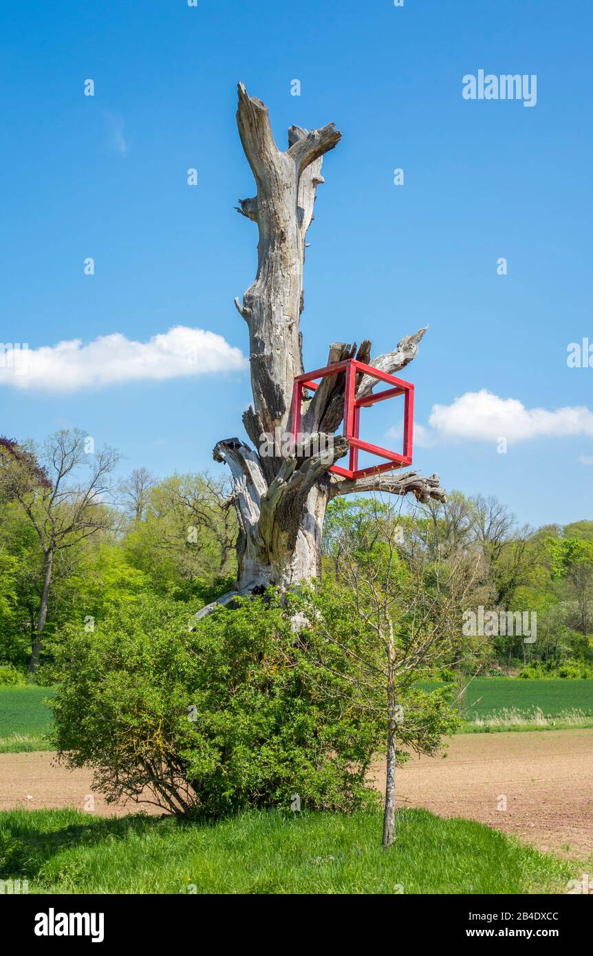 Deutschland, Baden-Württemberg, Ehningen - Mauren, Totbaum mit rotem Würfel, Kunst unterwegs Stockfoto