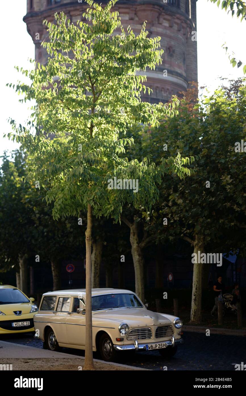 Ein Oldtimer Der Vor Dem Wasserturm Auf Dem Karlsplatz In Worms Geparkt Wurde Stockfotografie Alamy