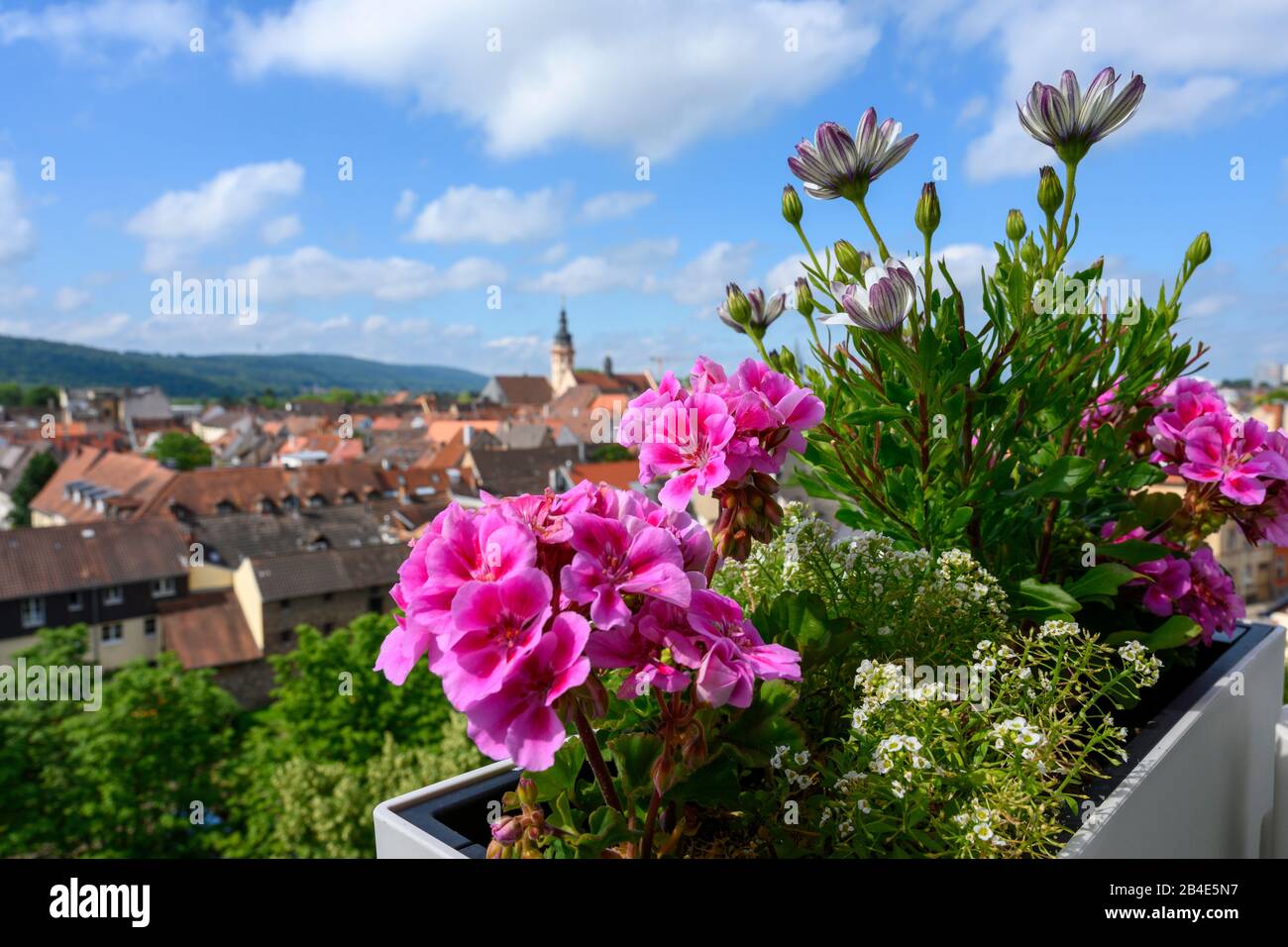 Geraniums balcony germany Fotos und Bildmaterial in hoher Auflösung
