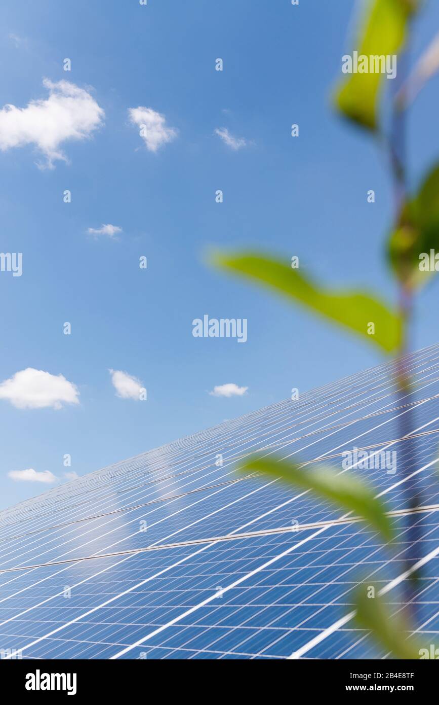 Solaranlage unter blauem Himmel mit grüner Flanke Stockfoto