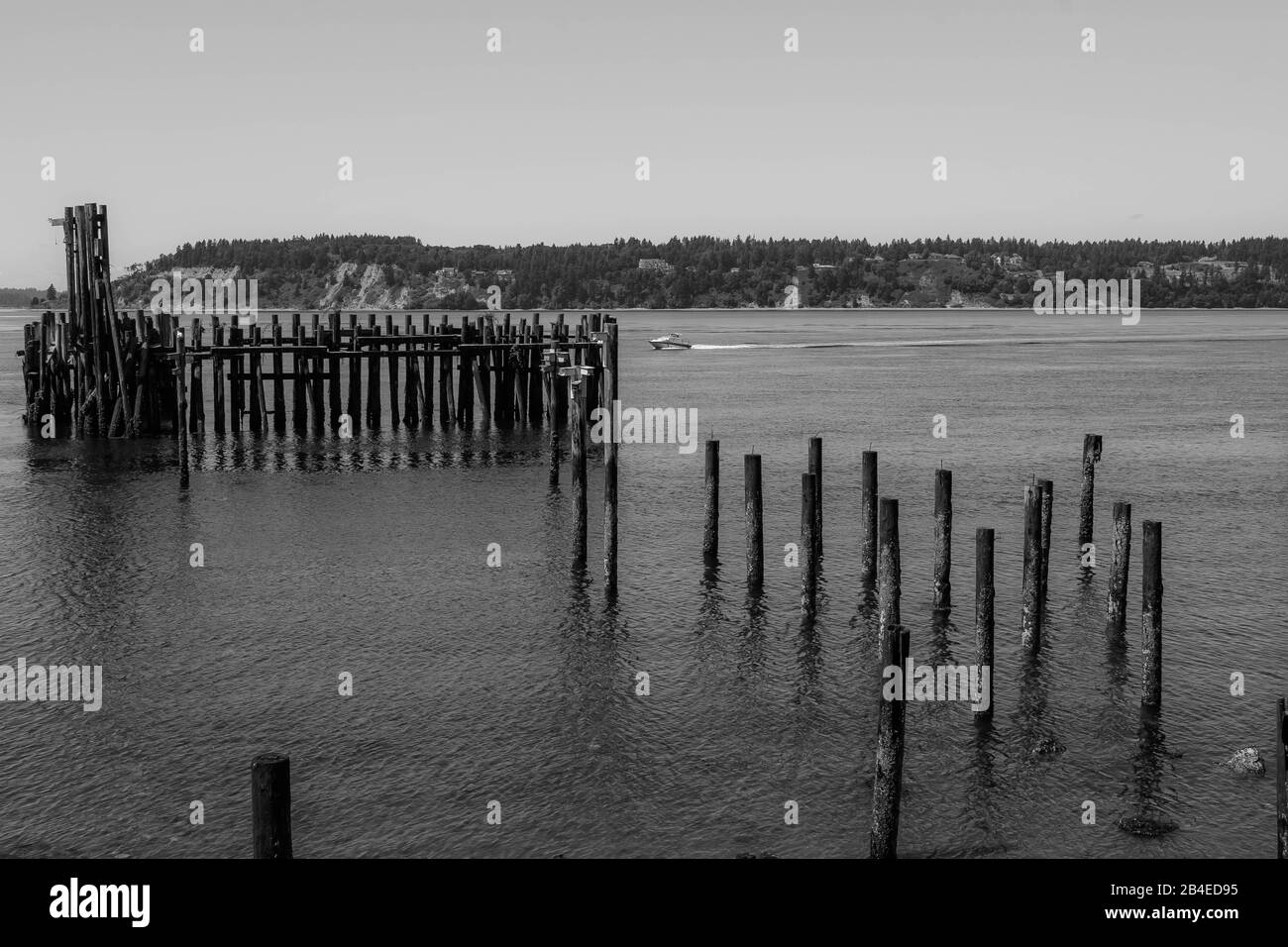 Rotten Pier and Pilings, South Puget Sound, Washington, USA Stockfoto