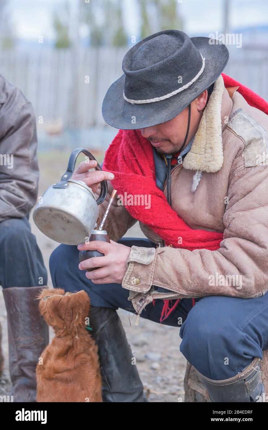 Cowboy gießt Mate Tea, Torres del Paine National Park, Patagonien, Chile, Südamerika Stockfoto