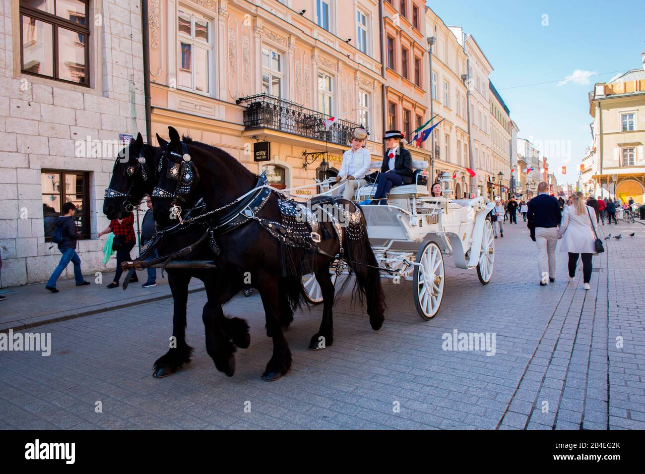 Pferde und Wagen, Straßenfang, Altstadt Krakaus, Polen Stockfoto