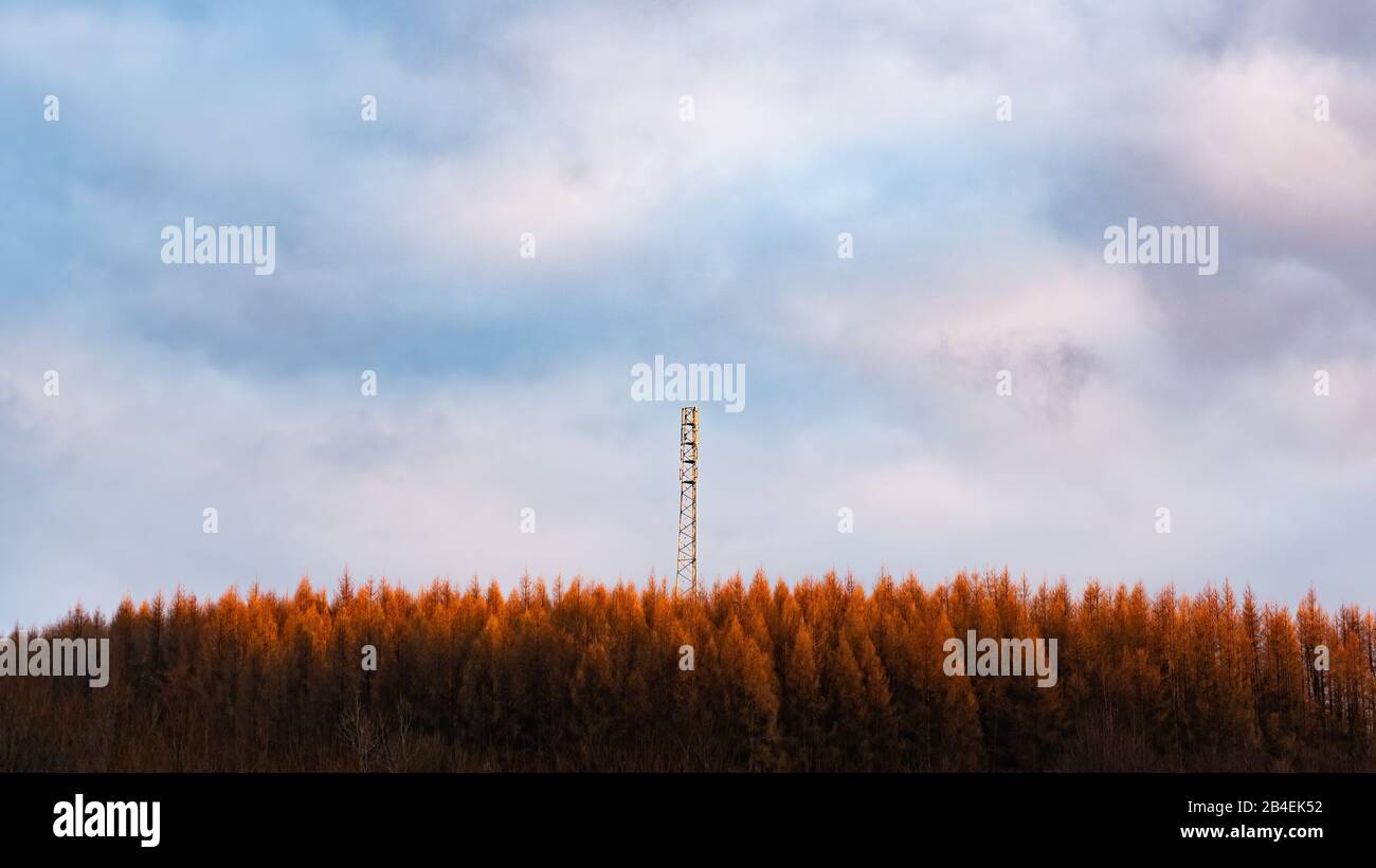 Neuer Turm auf dem Hügel in Waldrastie für 3G 4G LTE Funkmast in ländlicher Lage Stockfoto