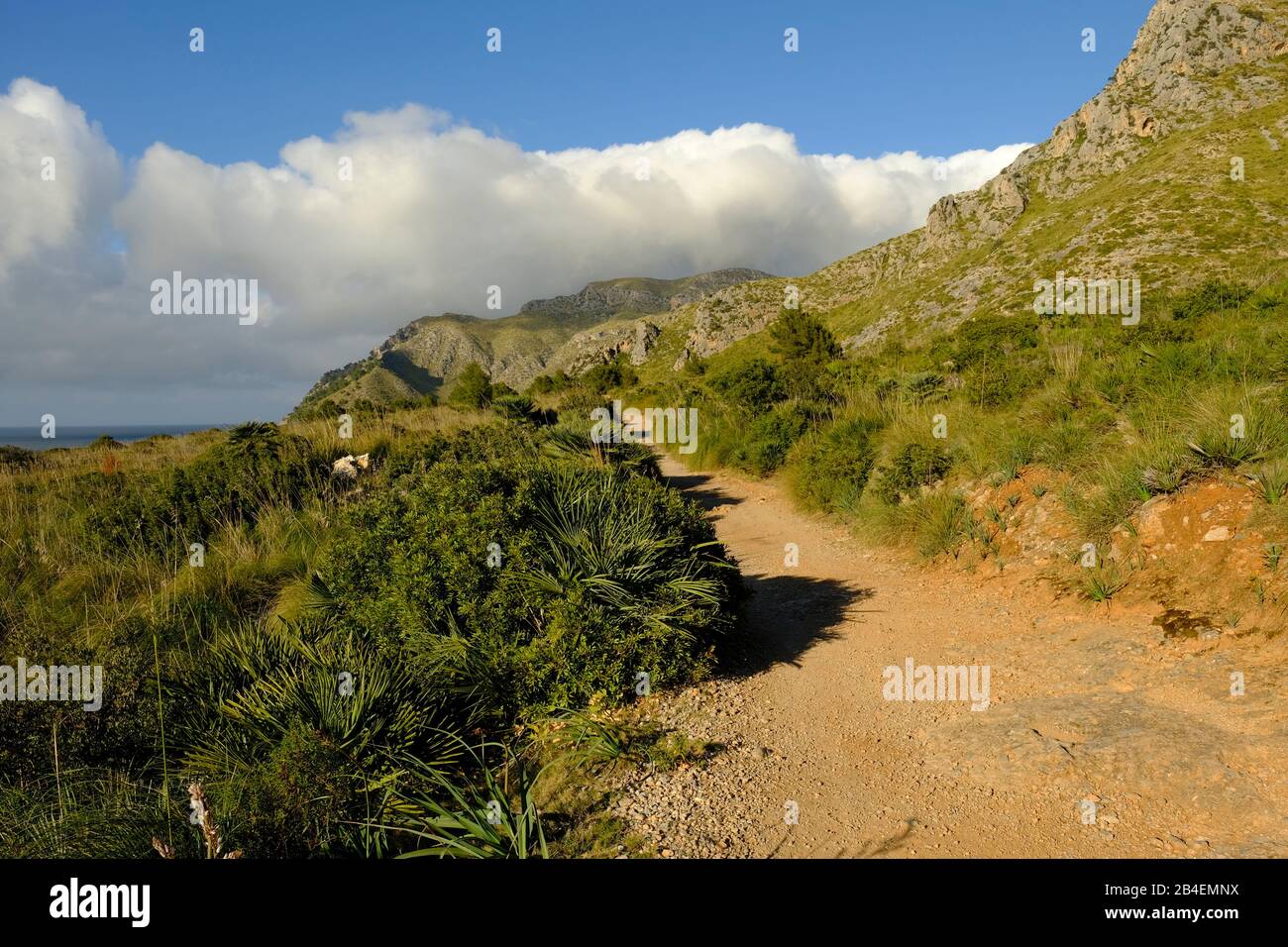Landschaft und Klippen in der Nähe von Betlem auf der Halbinsel Llevant im Naturpark Llevant, Mallorca, Balearen, Spanien Stockfoto