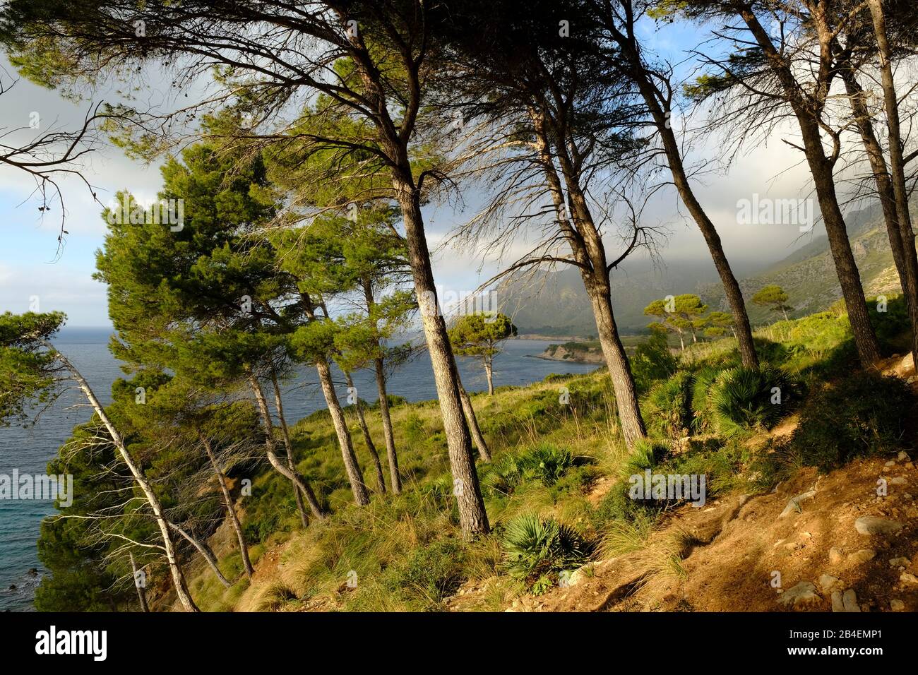Landschaft und Klippen in der Nähe von Betlem auf der Halbinsel Llevant im Naturpark Llevant, Mallorca, Balearen, Spanien Stockfoto