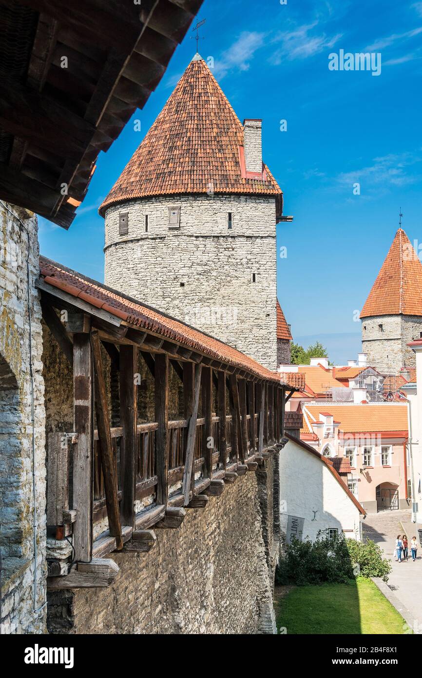 Estland, Tallinn, mittelalterliche Stadtmauer, Hellemann-Turm Stockfoto