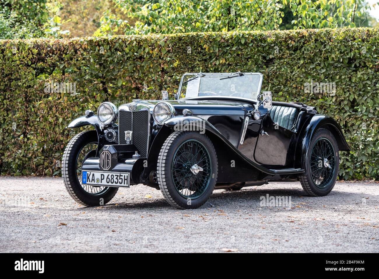 Mg Handler Baden Wurttemberg