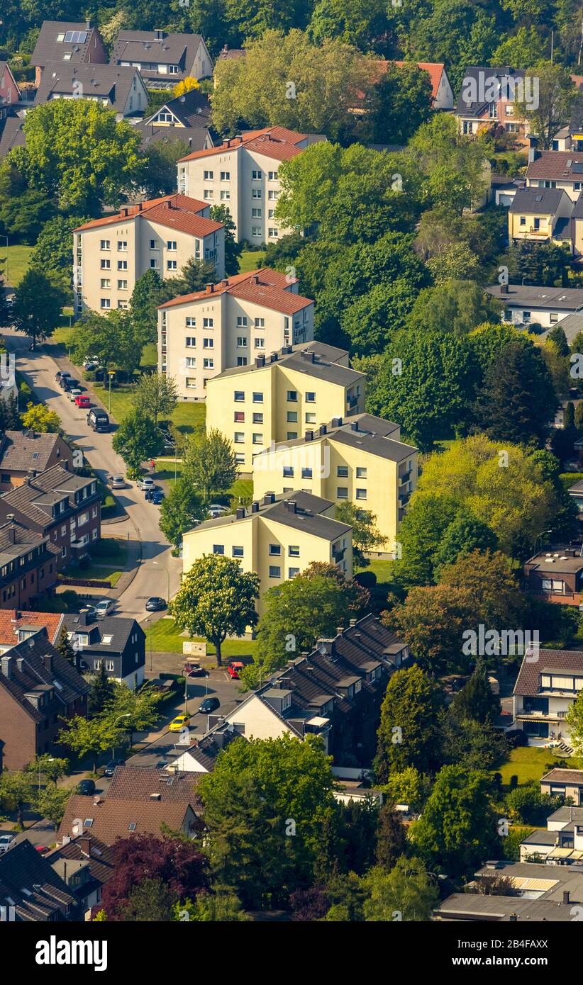 Luftbild zum Wohngebiet Heinrich-Albrod-Straße in Duisburg in der Metropolregion Rhein-Ruhrgebiet im Land Nordrhein-Westfalen, Deutschland Stockfoto