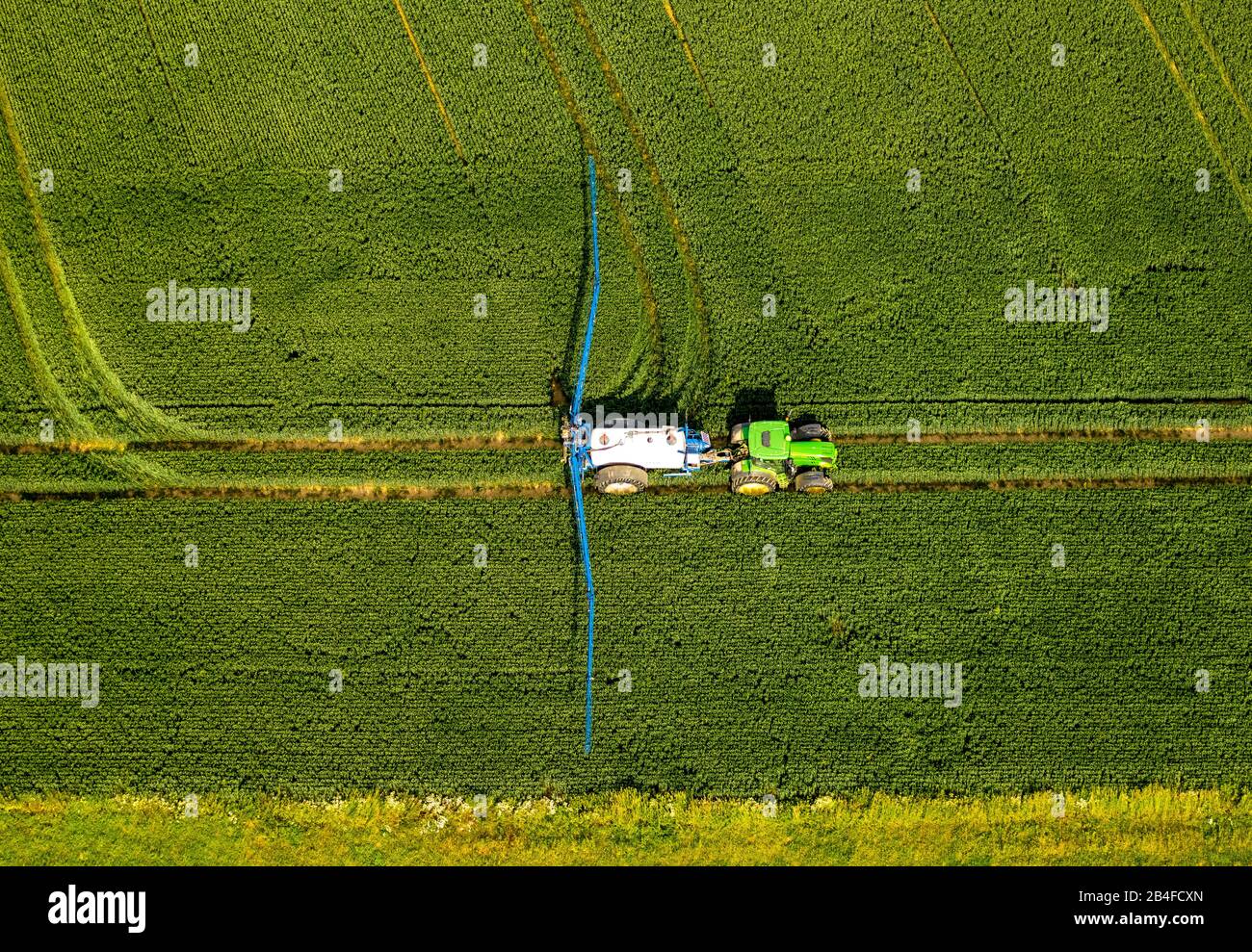 Luftbild eines Schleppers, der Insektizide auf einem Feld an der Westönner Bundesstraße, Mawicker Bundesstraße und Autobahn A44 mit Feldern und Wiesen in Werl in der Soester Börde in Nordrhein-Westfalen in Deutschland, Werl, Soester Börde, Nordrhein-Westfalen, Deutschland Höhenberg, Felder, Umweltschutz, Insektizid, Spritzfelder, Furchen, Maisfeld, Grünschlepper sprüht Stockfoto