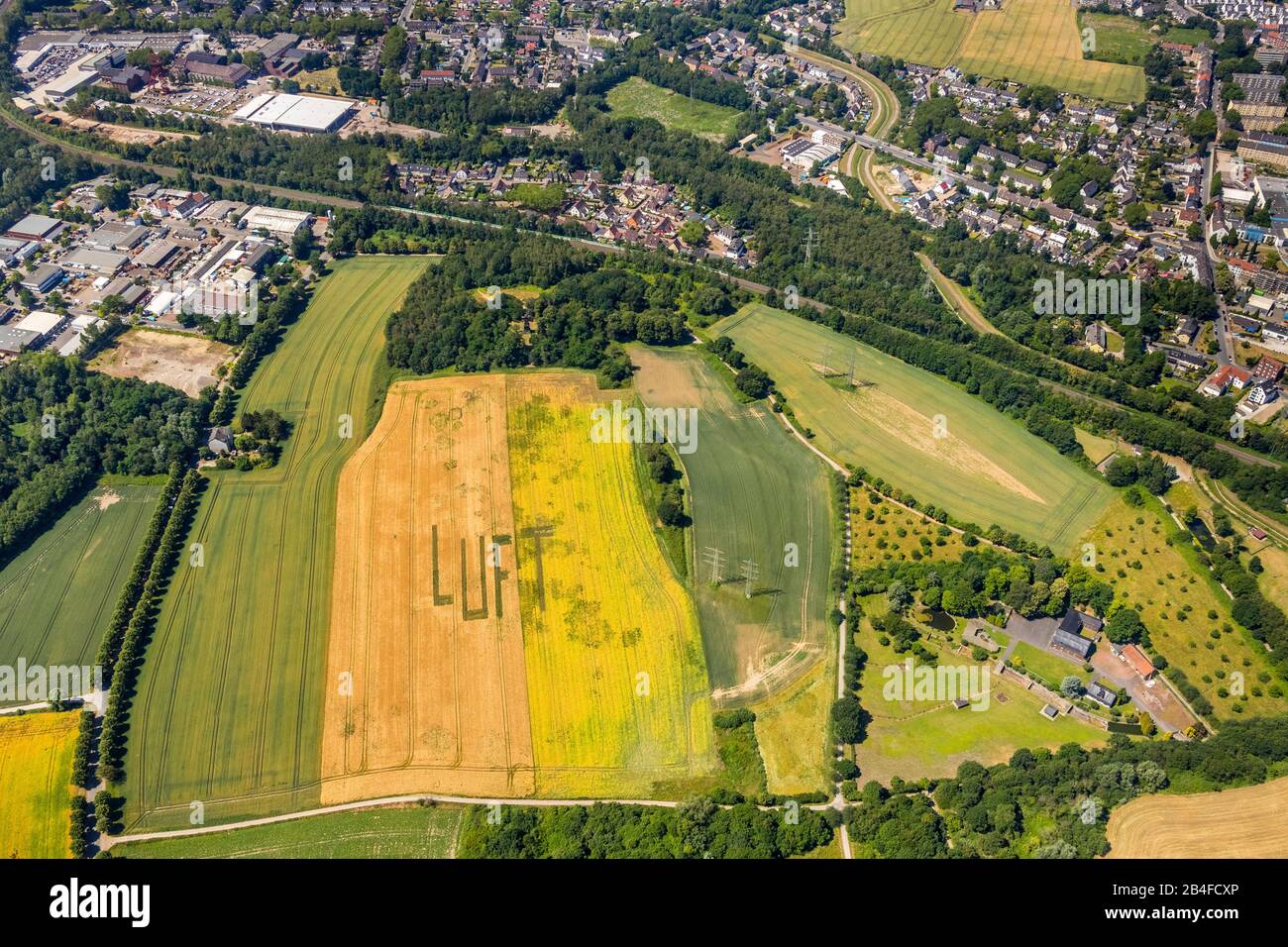 Luftbild einer SCHRIFTZÜGE AUF dem Kornfeld bei Mechtenberg an der Stadtgrenze Essen und Gelsenkirchen in Gelsenkirchen im Ruhrgebiet in Nordrhein-Westfalen in Deutschland, Gelsenkirchen, Ruhrgebiet, Nordrhein-Westfalen, Deutschland, Stockfoto