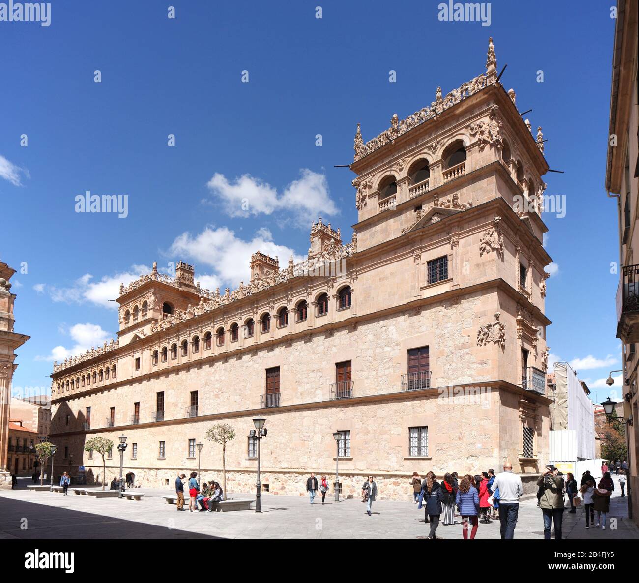 Palacio de Monterrey, Private Art Collection House Alba, Salamanca, Castilla y Leon, Kastilien-Leon, Spanien, Europa Stockfoto