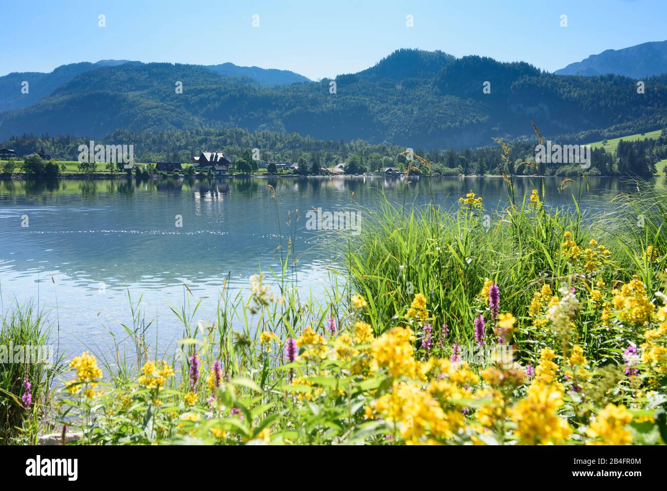 Grundlsee, Grundlsee-Ostende, Blick auf ditrict Gössl im Ausseerland-Salzkammergut, Steiermark, Styria, Österreich Stockfoto