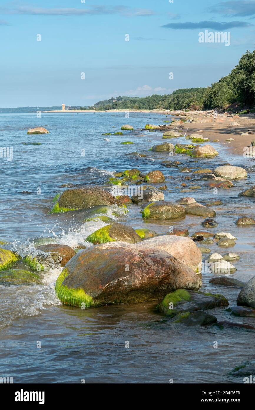 Estland, Nordküste, Ostsee, Liimala-Strand, Steine Stockfoto