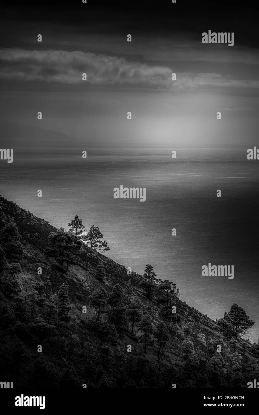 Spanien, Kanarische Inseln, Kanarische Inseln, La Palma, San Antonio, Los Canarios Stockfoto